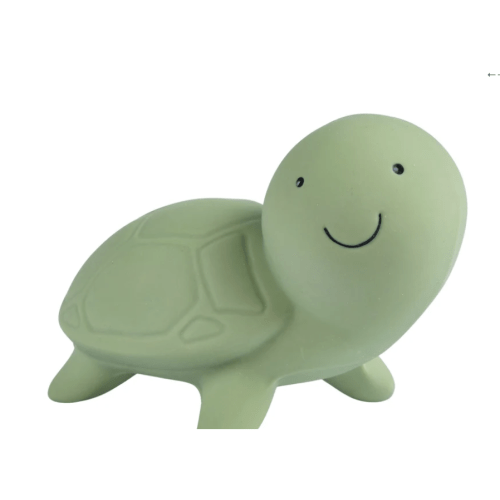 Turtle Organic Natural Rubber Rattle, Teether & Bath Toy