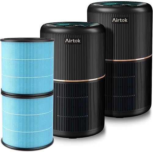 2-Pack Air Purifiers for Home+2-Pack Replacement Filters for Air Purifier AP0601(Black)