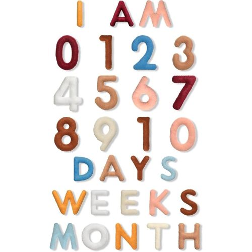 29 Pcs Felt Baby Monthly Milestone Decor Numbers and Letters Newborn Birth Photography Props, 1-12 Months Milestone Number Sign Decor for Toddler Boy or Girl (Boho Color)