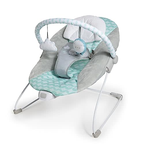 Ingenuity Ity Bouncity Bounce Vibrating Deluxe Baby Bouncer Seat, 0-6 Months Up to 20 lbs (Goji)