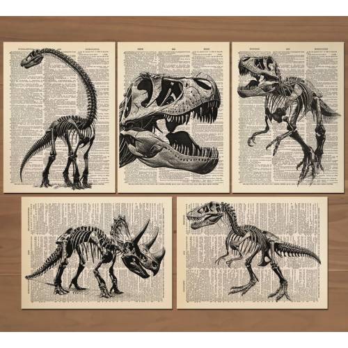 Dinosaur Print Set of 5 Dinosaur Skeleton Poster Dinosaur Decor Dinosaur Wall Art Dinosaur Nursery Prints Kids Room Decor T-Rex Wall Art 756