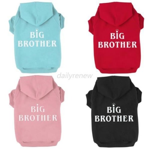 Big Bro Dog Hoodie