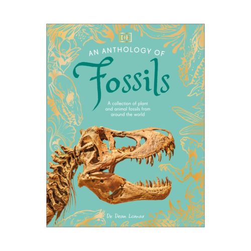 An Anthology of Fossils - (DK Little Anthologies) by Dean Lomax (Hardcover)