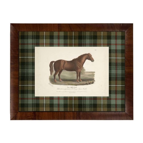 Wholesale Vintage horse bookplate C matted in green and brown tartan for your store - Faire