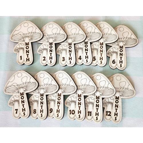 mushroom baby milestones, baby monthly milestones, monthly pictures, wood mushrooms, baby shower gift, infant signs, mushroom nursery