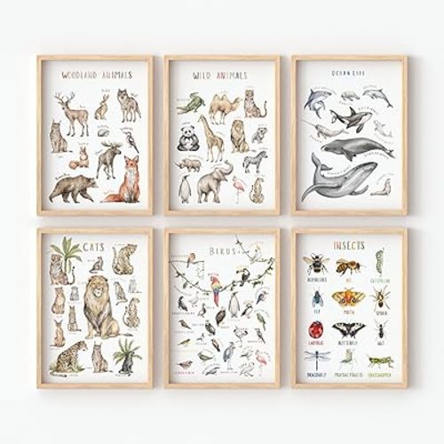 BOLNEY Set of 6 Educational Posters - Kids Wall Art: Wild Animals, Woodland Animals, Birds, Insects, Ocean Life (No Frame, 20x30cm-6pcs)