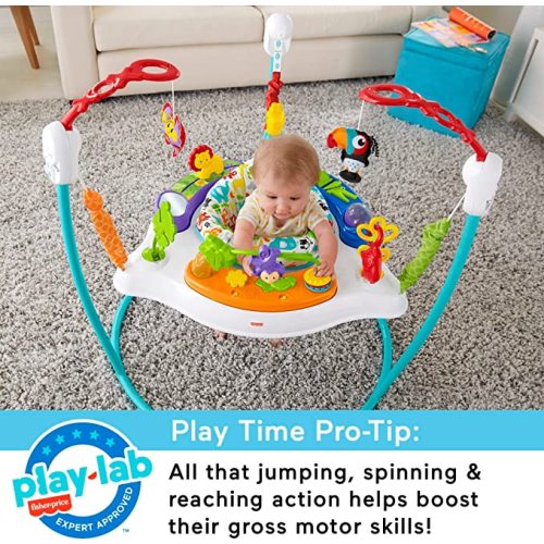 Fisher-Price Baby Bouncer Animal Activity Jumperoo With Music Lights Sounds And Developmental Toys For Infants