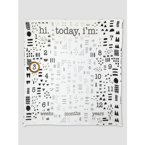 Honest Baby Clothing Organic Milestone Blanket
