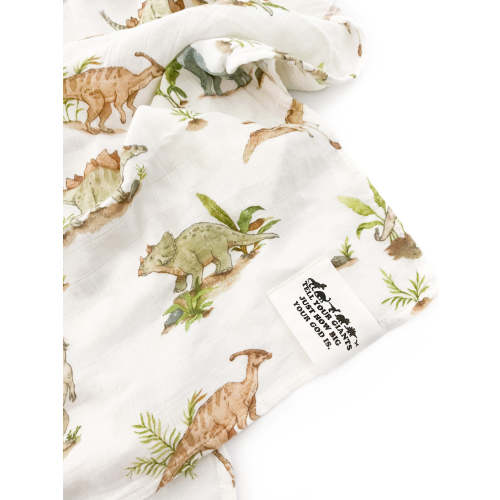 Tell Your Giants Dinosaur Swaddle Blanket – AmorClothingCo.