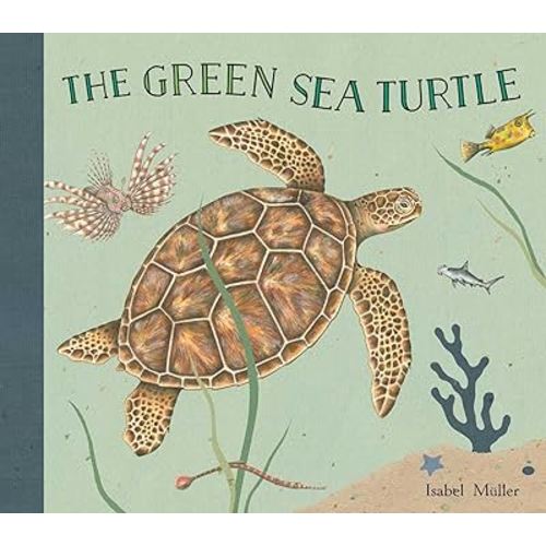 The Green Sea Turtle