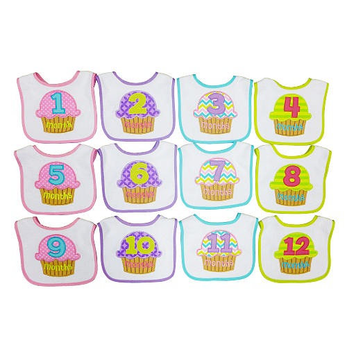 Hamco Girl 12 Pack Monthly Milestone Bib