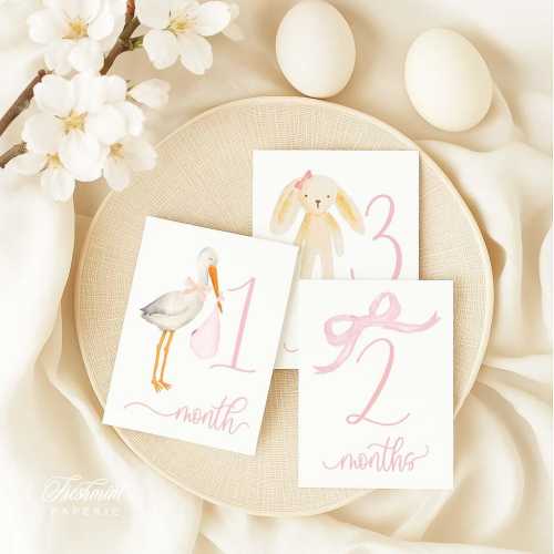 Baby Girl Milestone Cards – Stork Design, Monthly Photo Props, Baby Shower Gift, Baby Milestone cards Memories, Children's Photo Props