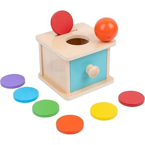 Adena Montessori Coin Box,2 in 1 Object Permanence Box Toys for 1 Year Old Baby Coins,Wooden Montessori Ball Drop Toys Developmental Toys for 6-12 Month Infant Toys,Learning Kids Gifts(Blue Door)