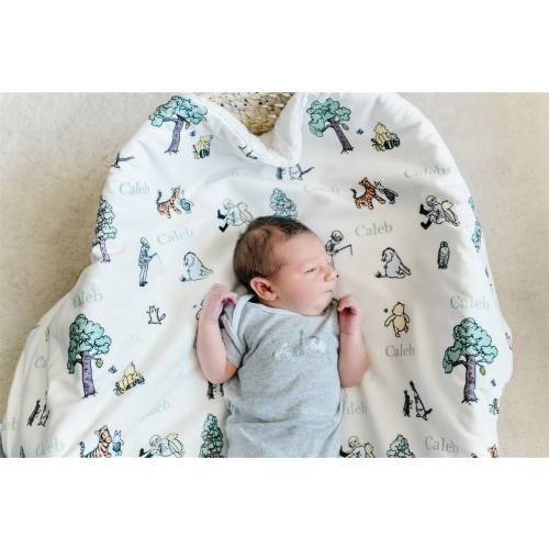 Minky Baby Blanket - Baby Gift - Personalized Baby Blanket - Vintage Winnie the Pooh Nursery - Fur Blanket - Pooh - WINNIE POOH Baby Deluxe