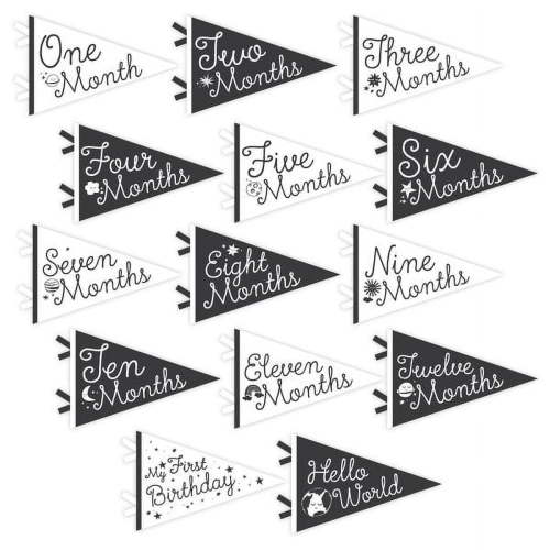 Lucy Darling Little Stargazer Petit 14 Piece Monthly Baby Milestone Photo Prop Pennants - Unisex (Black & White)