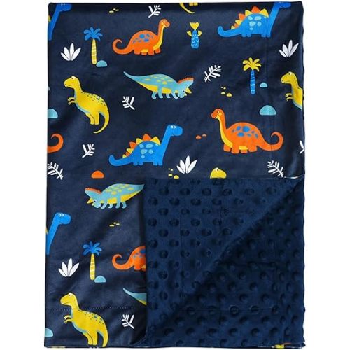 david's kids Micro Fleece Minky Baby Blanket for Boys with Double Layer and Soothing Raised Dots, Breathable and Soft Lightweight Receiving Blanket for Newborns, 30x40 Inches, Dinosaur