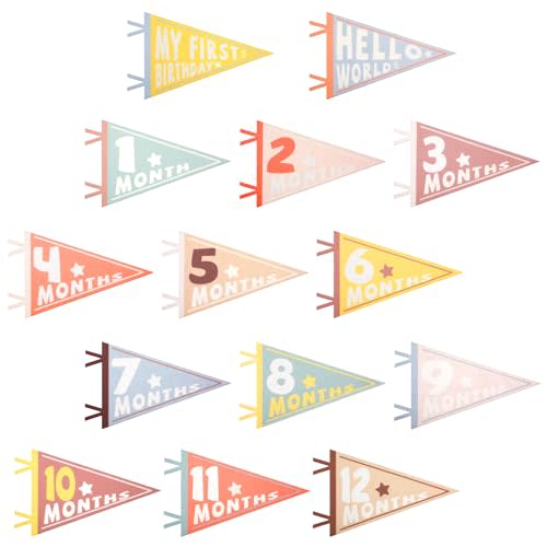 14pcs Baby Milestone Flags, Felt Monthly Milestone Pennant Flag Colorful Baby Milestone Signs for Newborn Baby Shower 1st Birthday Party Decorations (Pattern 1)