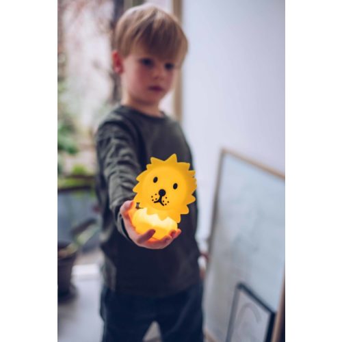 lion bundle of light | only at miffytown