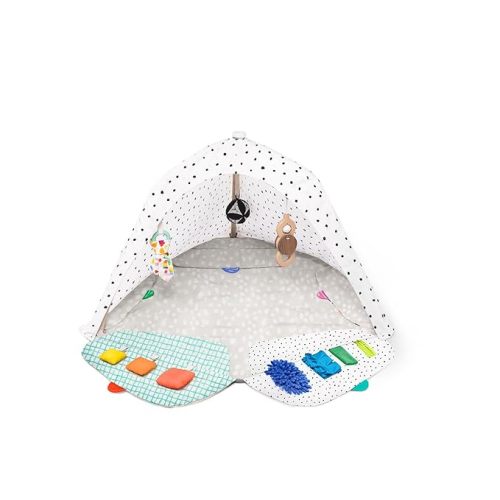 LOVEVERY | The Play Gym | Award Winning For Baby , Stage-Based Developmental Activity Gym & Play Mat for Baby to Toddler
