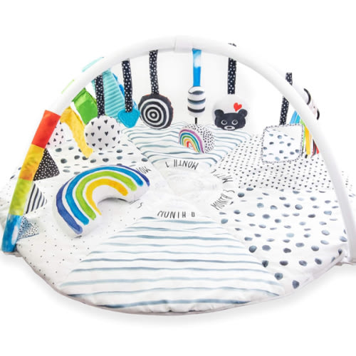 Sassy Stages STEM Developmental Play Gym, Sensory Tummy Time Activity Play Mat w/Built-in Instructions, Ultra Plush & Machine Washable Playmat for Babies & Toddlers, 0+ Months