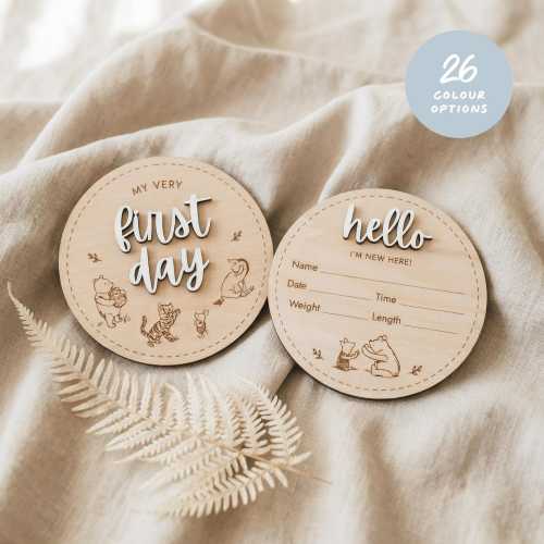 Classic Winnie the Pooh Birth Announcement Sign with 3D Hand-Painted Lettering