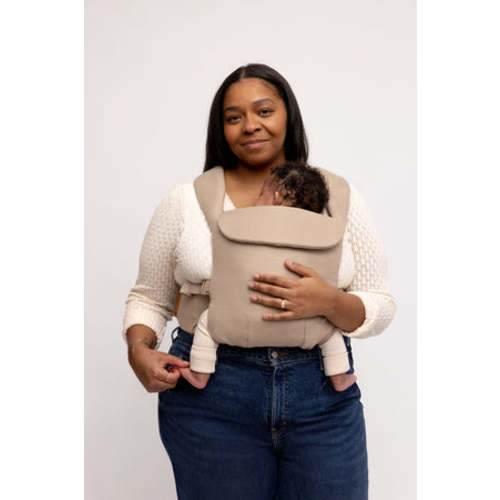 Desert Lark - Aerial Carrier – WildBird