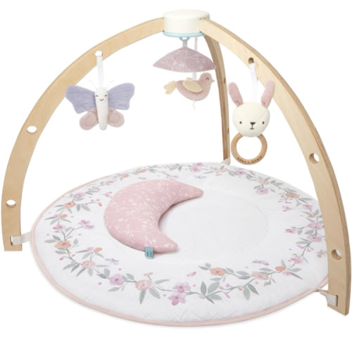 Baby Gym | Premium Baby Activity Gym | aden + anais