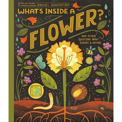 What's Inside A Flower? by Rachel Ignotofsky