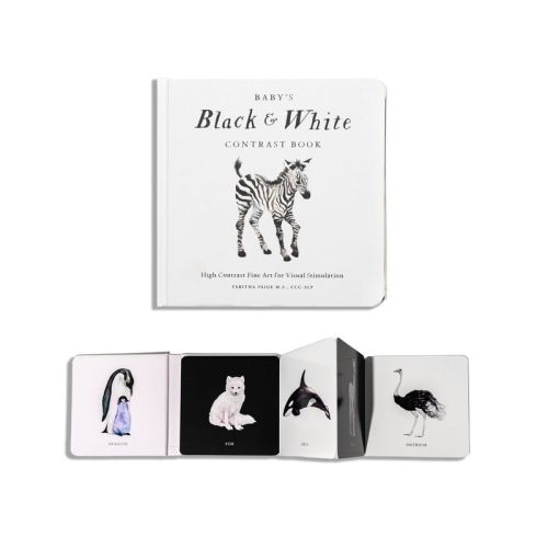 Baby's Black And White Contrast Book - (our Little Adventures) By Tabitha Paige (board Book)