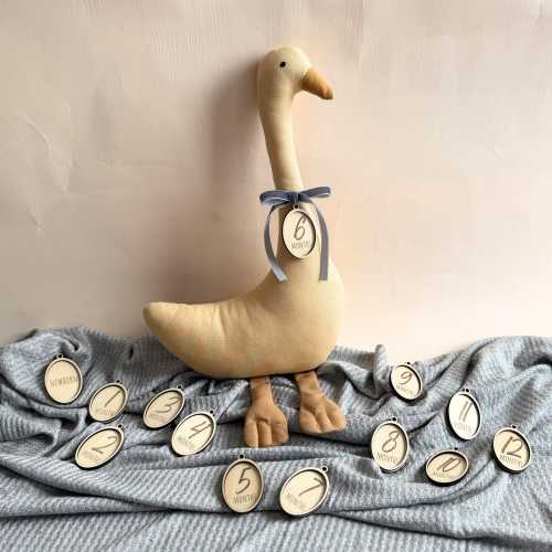 Baby Milestone Photo Prop Plush Monthly Milestone Stuffed Animal Baby Growth Tracking Plushie Size Comparison Stuffed Toy Keepsake Milestone