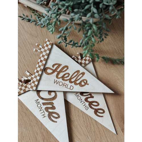 Flag Milestone | pennant Birth Announcement | Modern Milestones | Baby Shower gift | Boho Baby | Wooden Milestone | Newborn | checker print