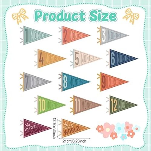 14 Pcs Baby Milestone Pennant Signs Monthly Milestone Banner Flags Pennant Triangle Banner Age Flag Signs for Boy Girl Newborn Birthday Party Decor(Classical Color)