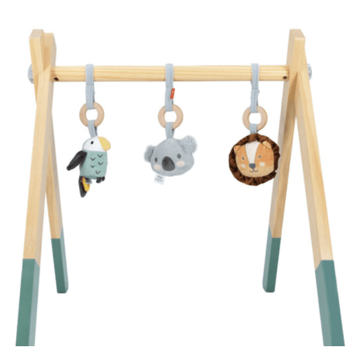 Wooden Play Gym