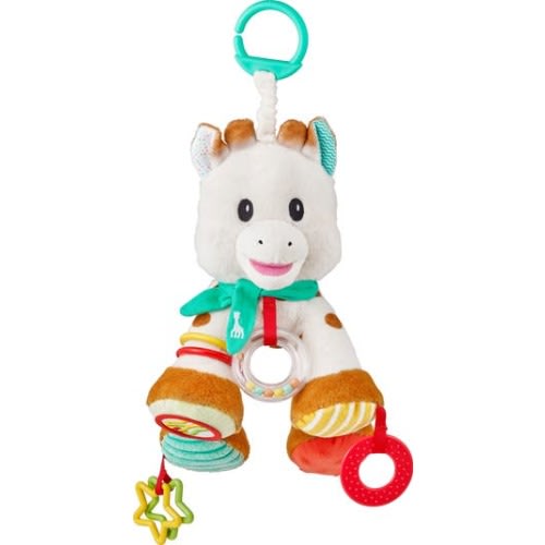 Activity Plush Toy