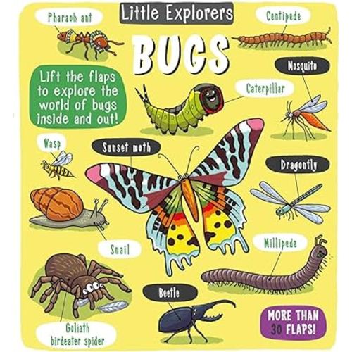 Little Explorers: Bugs