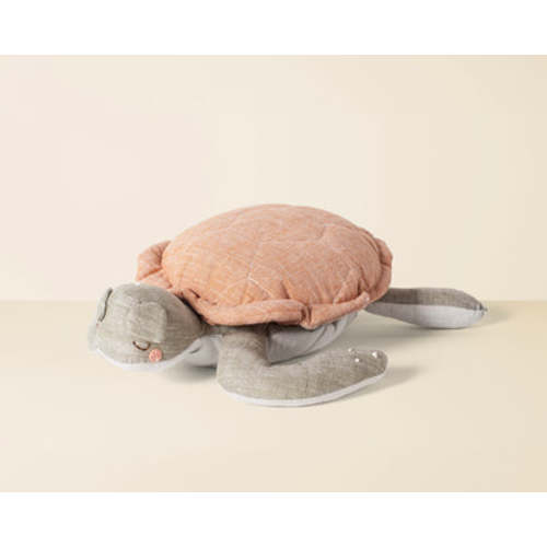 Frankie the Turtle