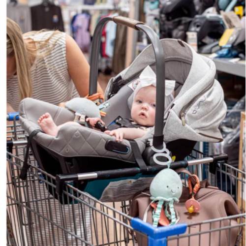 Totes Babies Car Seat Carrier