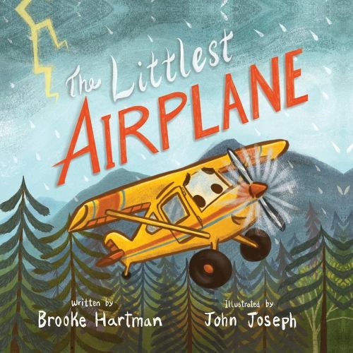 The Littlest Airplane