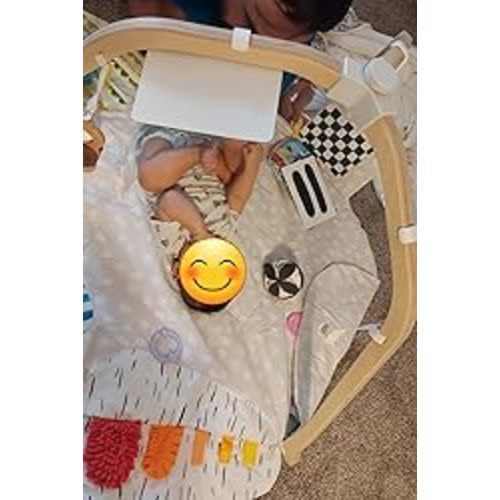 LOVEVERY | The Play Gym | Award Winning For Baby , Stage-Based Developmental Activity Gym & Play Mat for Baby to Toddler