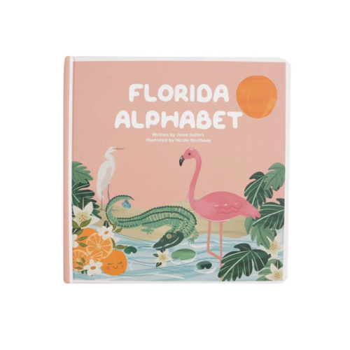 Florida Alphabet Board Book - Lucy's Room