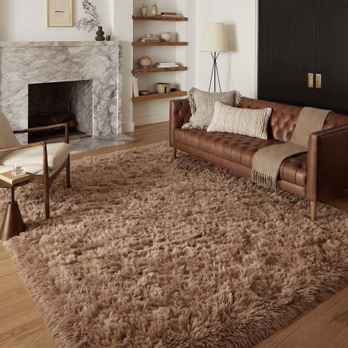 Pentantan 5ft x 8ft Shag Area Rugs, Fluffy Rug for Living Room Bedroom, Soft Plush Pile Indoor Carpet, Brown