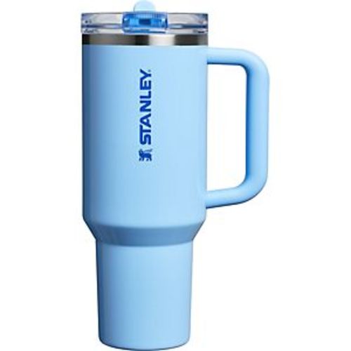 Stanley Quencher Protour Oasis 40 oz Tumbler | Academy