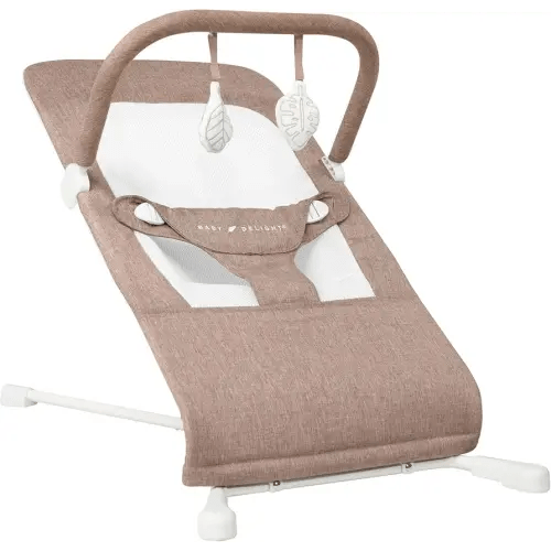 Baby Delight Highland Baby Bouncer | Infant | 0 – 6 Months | 3-Position Recline | Mocha Tweed