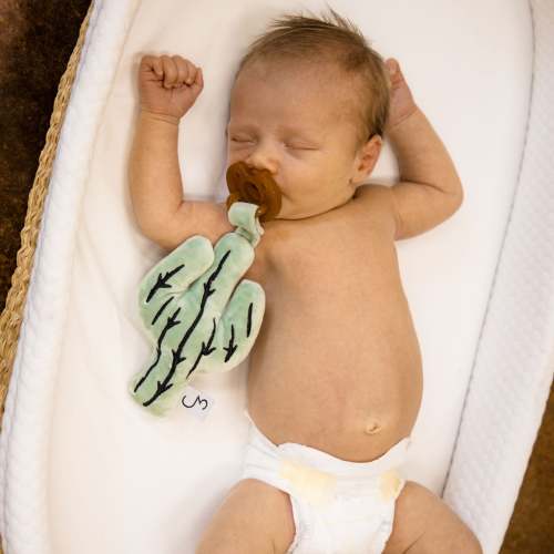Cactus Detachable Pacifier – Cowkid Clothing Company