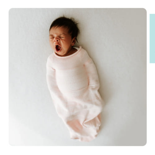 Pink Swaddle Sleep Sack – Swaddelini