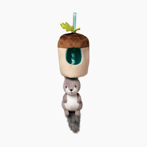 Manhattan Toy Musical Pull Toy - Squirrel