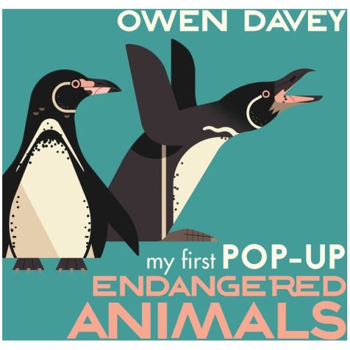 My First Pop-Up Endangered Animals - by Owen Davey (Hardcover)