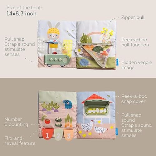 Activity Book