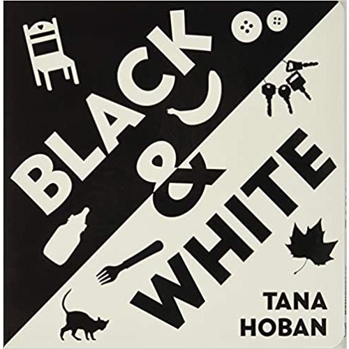 Black & White Board Book (for contrast & development)