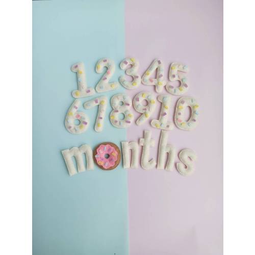 Donut Milestone Numbers, Baby Milestone Cards, Babys first year monthly milestone, Children's photo props